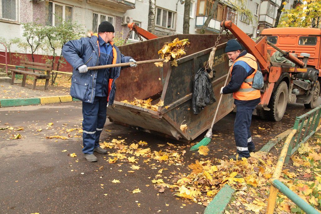 Вывоз опавшей листвы и растительного мусора в Чебоксарах от ПроМусор – цена от 4628 руб., быстрая уборка и утилизация